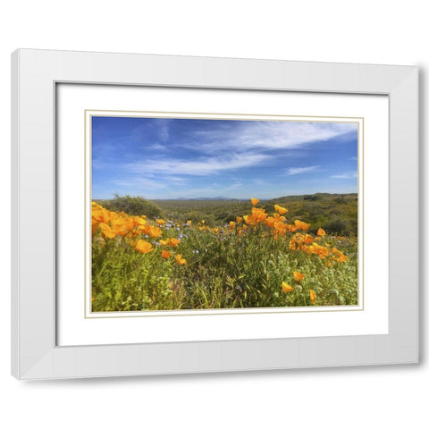 Wildflowers XXVIII White Modern Wood Framed Art Print with Double Matting by Popcorn