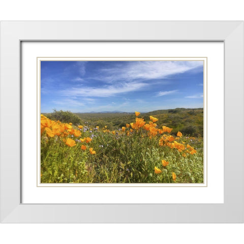 Wildflowers XXVIII White Modern Wood Framed Art Print with Double Matting by Popcorn