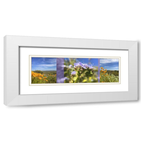 Wildflowers Collage IV White Modern Wood Framed Art Print with Double Matting by Popcorn