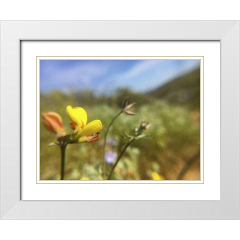 Wildflowers XXX White Modern Wood Framed Art Print with Double Matting by Popcorn