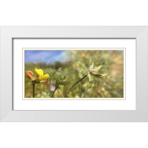 Wildflowers XXXII White Modern Wood Framed Art Print with Double Matting by Popcorn