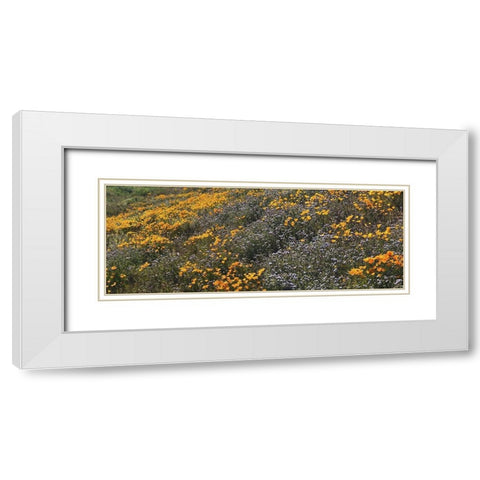 Wildflowers XXVIII White Modern Wood Framed Art Print with Double Matting by Popcorn
