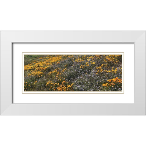 Wildflowers XXVIII White Modern Wood Framed Art Print with Double Matting by Popcorn