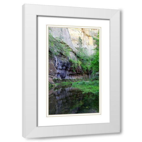 Oak Creek Canyon II White Modern Wood Framed Art Print with Double Matting by Popcorn