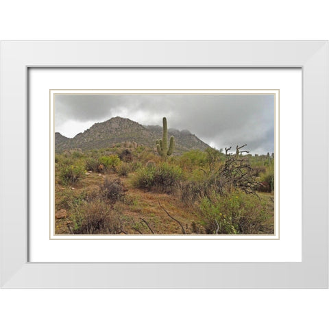 Granite Mountain II White Modern Wood Framed Art Print with Double Matting by Popcorn