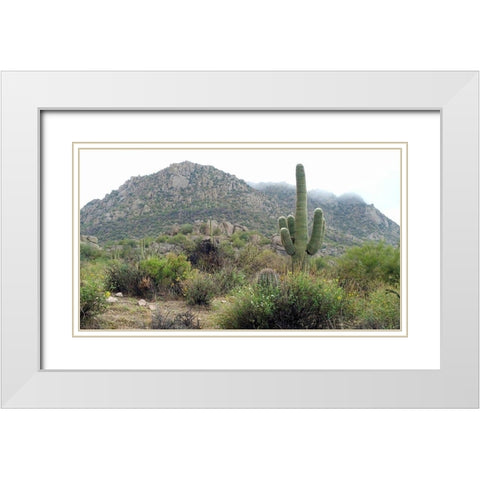 Granite Mountain White Modern Wood Framed Art Print with Double Matting by Popcorn