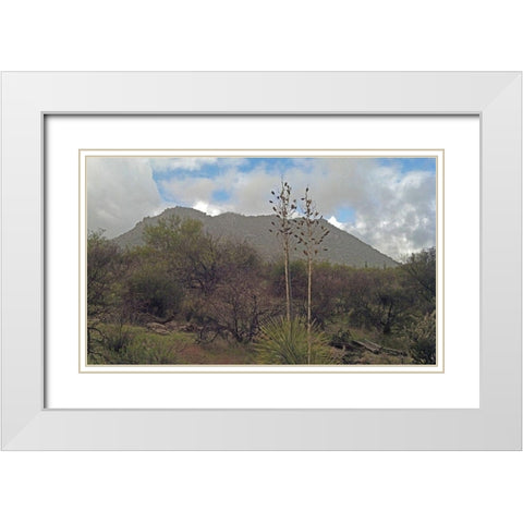 Granite Mountain III White Modern Wood Framed Art Print with Double Matting by Popcorn