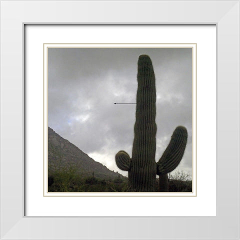 Saguaro Arrow White Modern Wood Framed Art Print with Double Matting by Popcorn