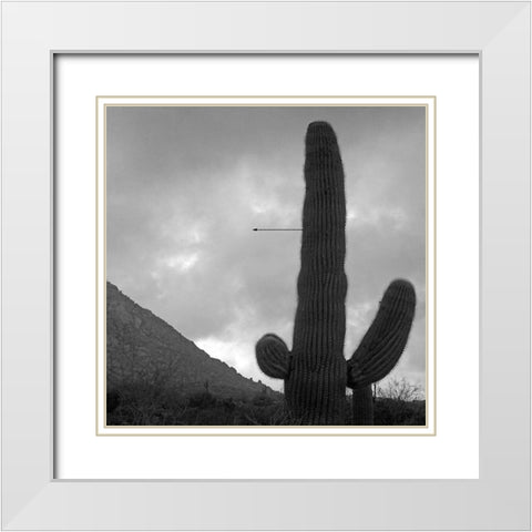 Saguaro Arrow BandW White Modern Wood Framed Art Print with Double Matting by Popcorn
