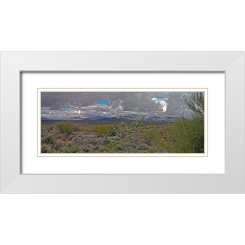 Desert Scape I White Modern Wood Framed Art Print with Double Matting by Popcorn