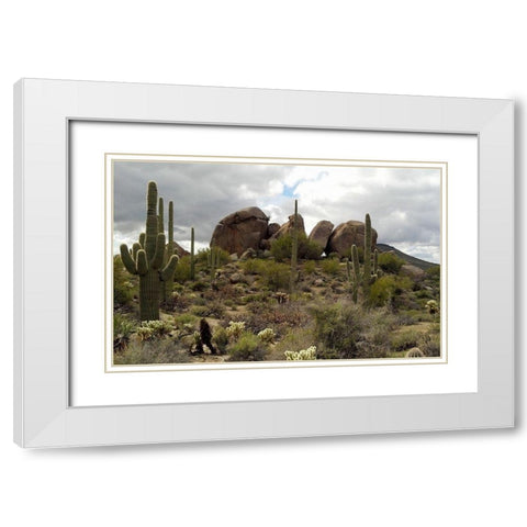 Cathedral Rock White Modern Wood Framed Art Print with Double Matting by Popcorn