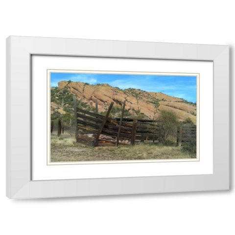 Hackberry Springs White Modern Wood Framed Art Print with Double Matting by Popcorn
