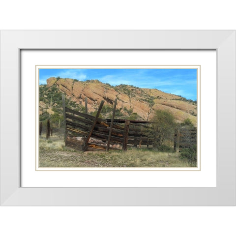 Hackberry Springs White Modern Wood Framed Art Print with Double Matting by Popcorn