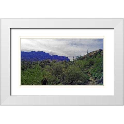 Superstition Mountain I White Modern Wood Framed Art Print with Double Matting by Popcorn