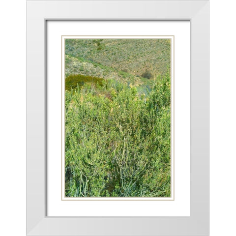 Kartchner Cavern Foothills White Modern Wood Framed Art Print with Double Matting by Popcorn