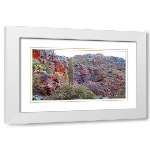 Desert Scape 2 White Modern Wood Framed Art Print with Double Matting by Popcorn