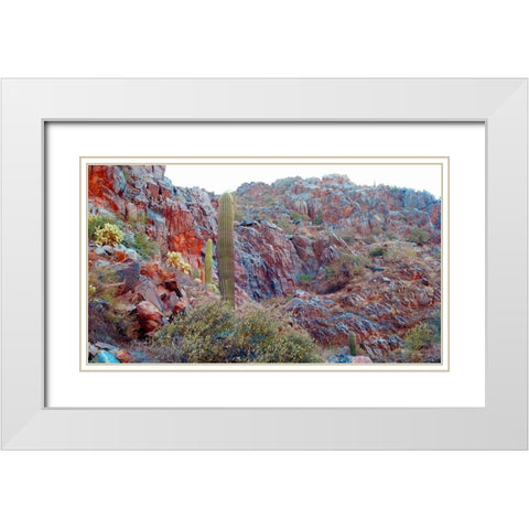 Desert Scape 2 White Modern Wood Framed Art Print with Double Matting by Popcorn
