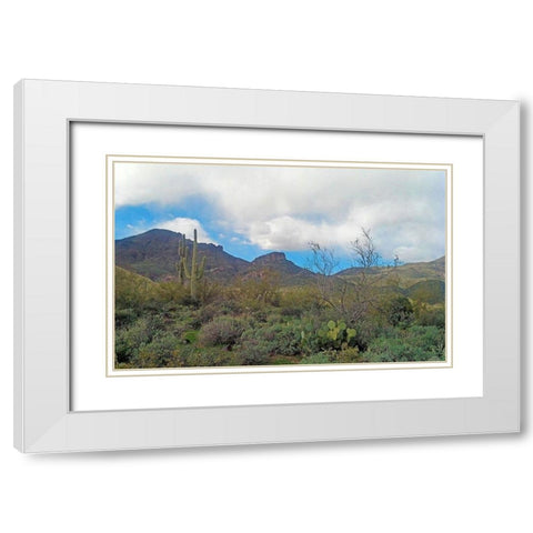 Elephant Mountain White Modern Wood Framed Art Print with Double Matting by Popcorn