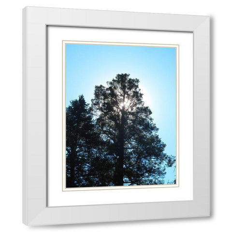 Tree 1 White Modern Wood Framed Art Print with Double Matting by Popcorn