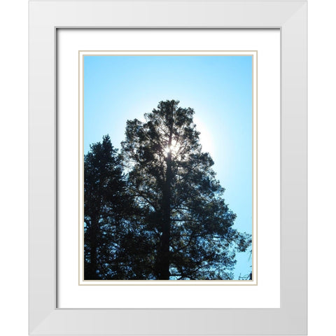 Tree 1 White Modern Wood Framed Art Print with Double Matting by Popcorn