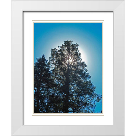 Tree 2 White Modern Wood Framed Art Print with Double Matting by Popcorn