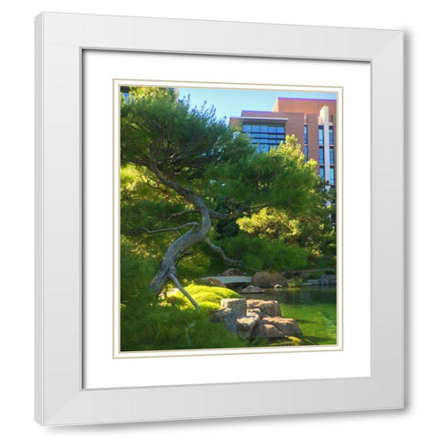 Japanese Friendship Garden I White Modern Wood Framed Art Print with Double Matting by Tenoever, William