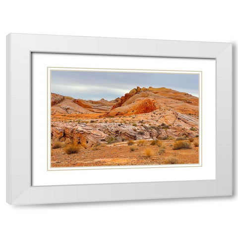 ValleyOfFire:BigHornSheep2 White Modern Wood Framed Art Print with Double Matting by Tenoever, William