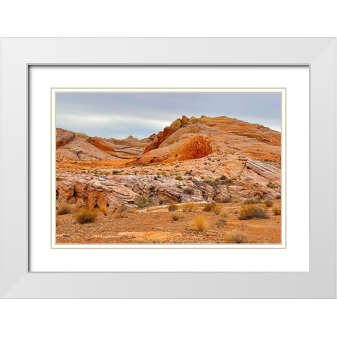 ValleyOfFire:BigHornSheep2 White Modern Wood Framed Art Print with Double Matting by Tenoever, William