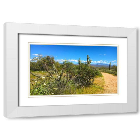 FourPeaks White Modern Wood Framed Art Print with Double Matting by Tenoever, William