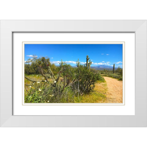 FourPeaks White Modern Wood Framed Art Print with Double Matting by Tenoever, William