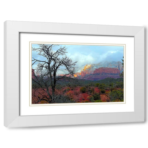 SedonaInWinter1 White Modern Wood Framed Art Print with Double Matting by Tenoever, William