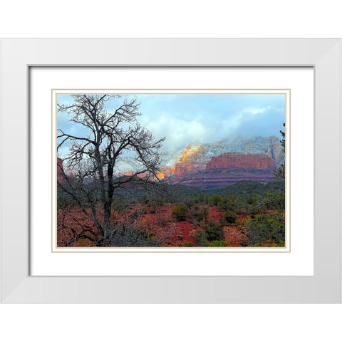 SedonaInWinter1 White Modern Wood Framed Art Print with Double Matting by Tenoever, William