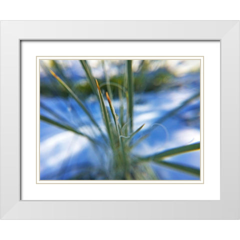 Snow in the Desert White Modern Wood Framed Art Print with Double Matting by Popcorn