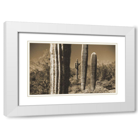 Desert Scape 13 White Modern Wood Framed Art Print with Double Matting by Popcorn