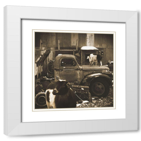 Junkyard D2: Sepia Goats White Modern Wood Framed Art Print with Double Matting by Popcorn