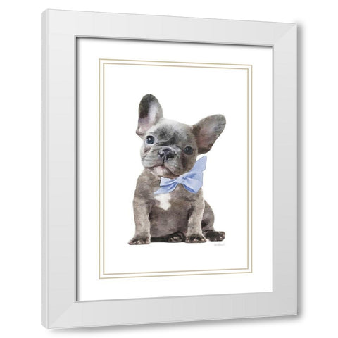 Frenchie XI White Modern Wood Framed Art Print with Double Matting by Amanda Greenwood