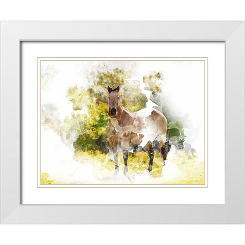 Stallion II White Modern Wood Framed Art Print with Double Matting by Young, Chamira