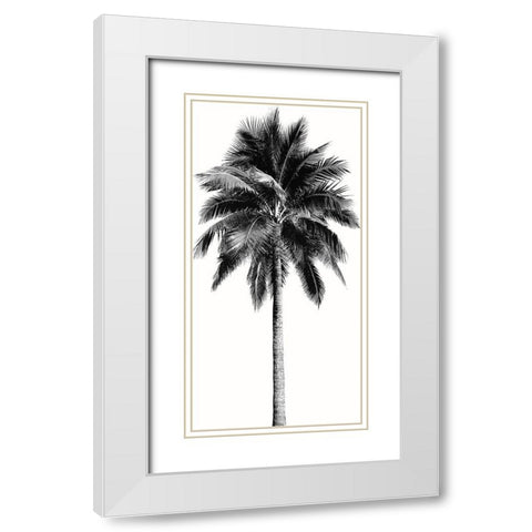 Palm Tree I White Modern Wood Framed Art Print with Double Matting by Blake, Madeline