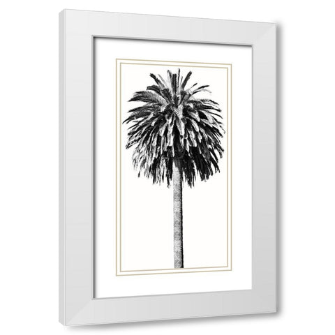 Palm Tree II White Modern Wood Framed Art Print with Double Matting by Blake, Madeline
