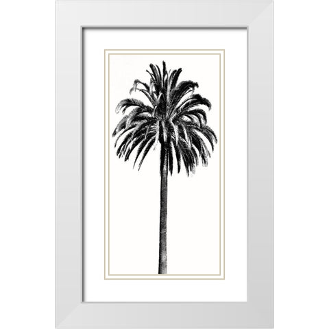 Palm Tree III White Modern Wood Framed Art Print with Double Matting by Blake, Madeline