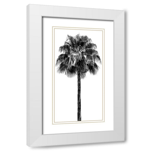 Palm Tree IV White Modern Wood Framed Art Print with Double Matting by Blake, Madeline