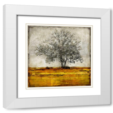 Majestic - Amber White Modern Wood Framed Art Print with Double Matting by Turner, Eric