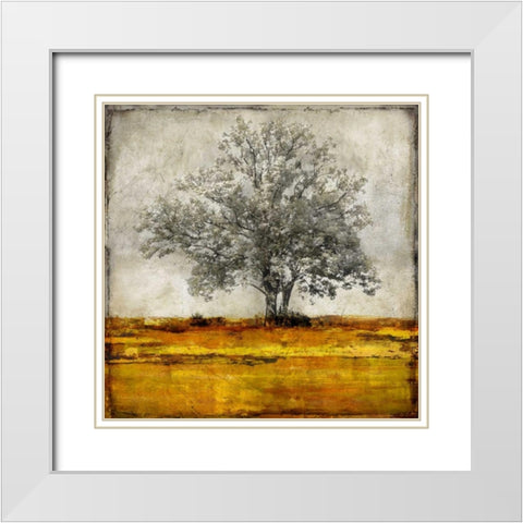 Majestic - Amber White Modern Wood Framed Art Print with Double Matting by Turner, Eric
