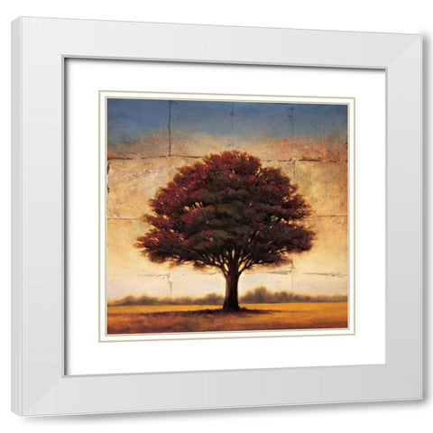 Splendor I White Modern Wood Framed Art Print with Double Matting by Williams, Gregory
