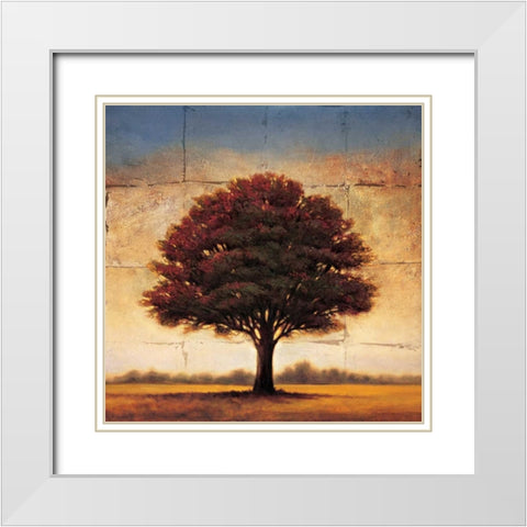 Splendor I White Modern Wood Framed Art Print with Double Matting by Williams, Gregory