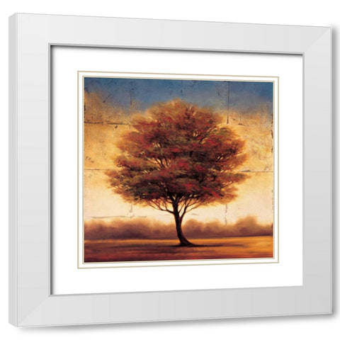 Splendor II White Modern Wood Framed Art Print with Double Matting by Williams, Gregory