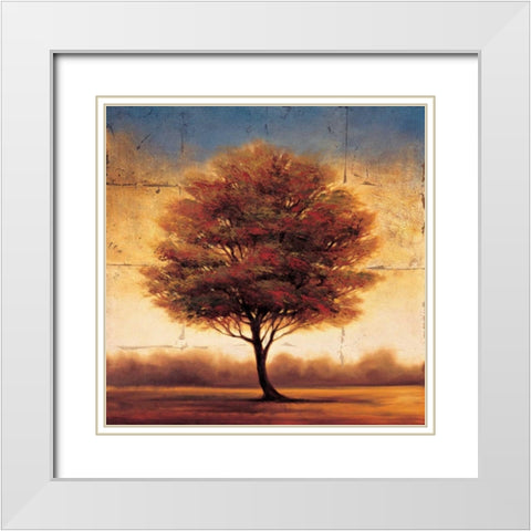 Splendor II White Modern Wood Framed Art Print with Double Matting by Williams, Gregory