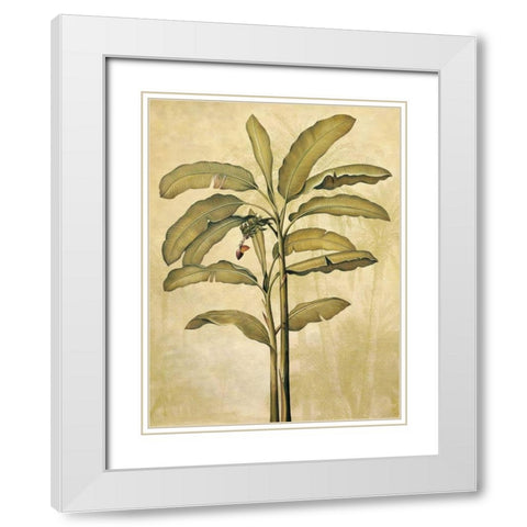 Palms of the Tropics II White Modern Wood Framed Art Print with Double Matting by Deveraux, Jill