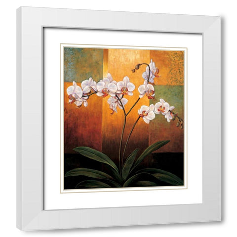 Orchids White Modern Wood Framed Art Print with Double Matting by Deveraux, Jill