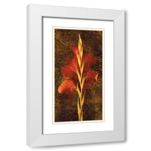 Gladiola White Modern Wood Framed Art Print with Double Matting by Seba, John